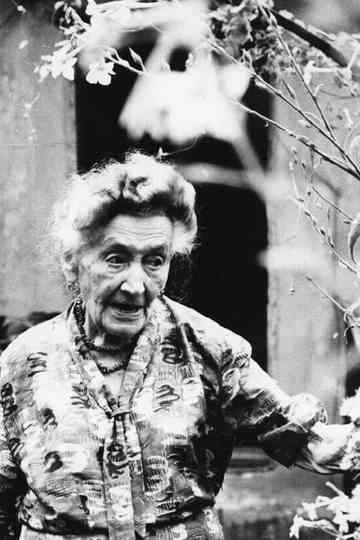 Time is inexorable Poster