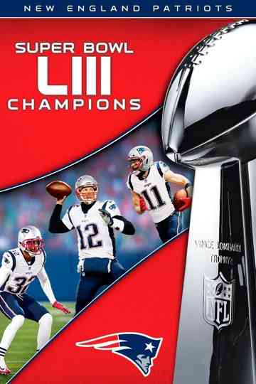 Super Bowl LIII Champions New England Patriots Poster