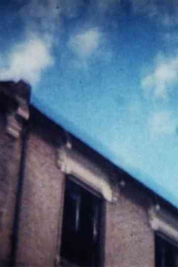 Time Stepping Poster