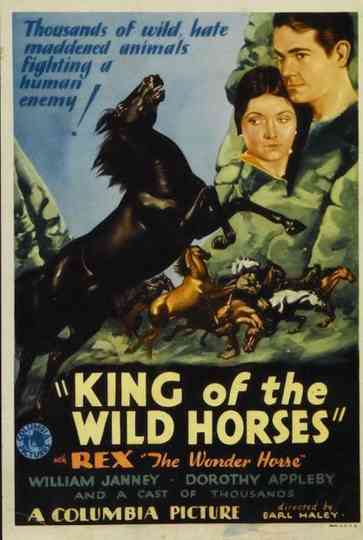 King of the Wild Horses Poster