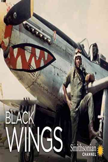 Black Wings Poster