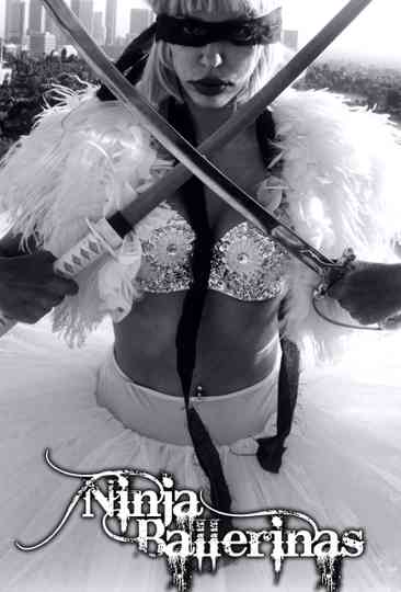 Ninja Ballerina Poster