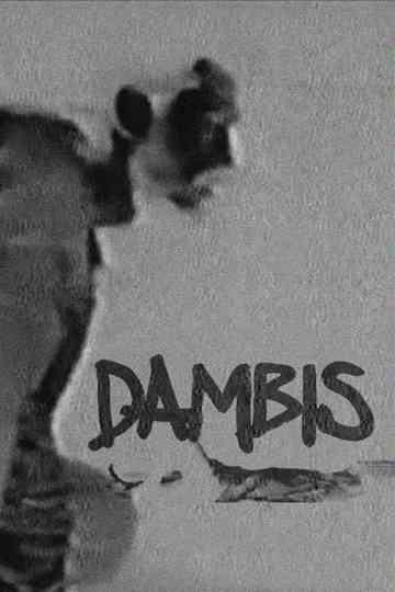 Dambis Poster