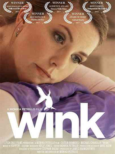 Wink Poster
