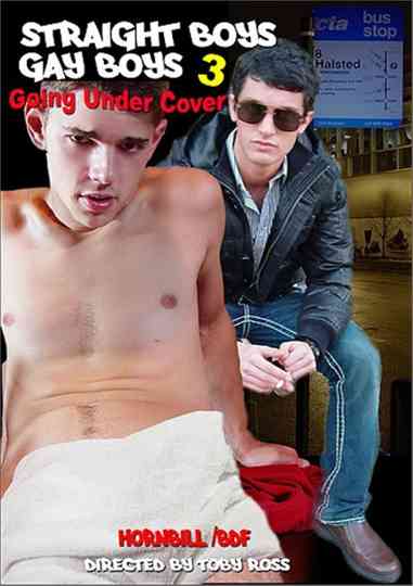 Straight Boys, Gay Boys 3: Going Under Cover Poster