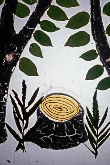 How Did Books Leave the Forest poster