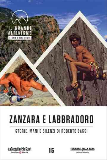 Zanzara e Labbradoro  Storie Mani e Silenzi di Roberto Bassi Poster