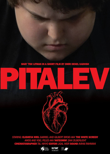 PITALEV