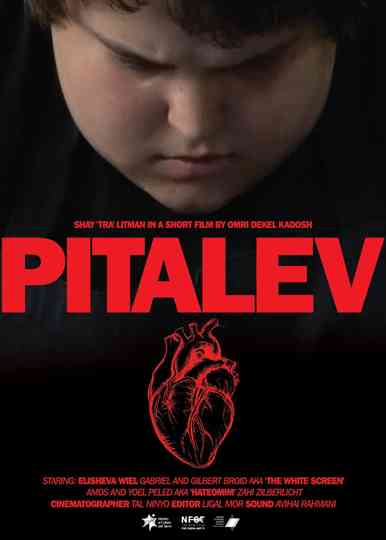 PITALEV