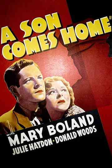 A Son Comes Home Poster