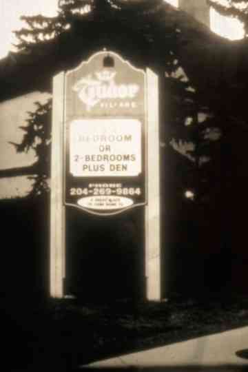 Tudor Village: A One Shot Deal Poster