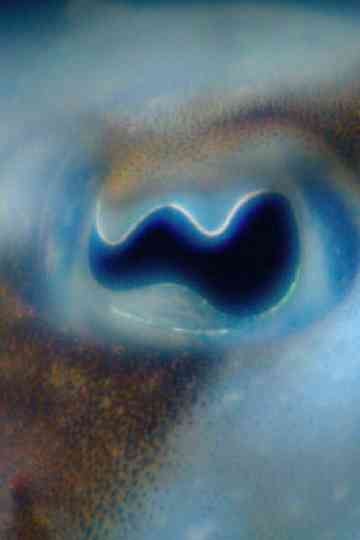 Anywhen In a Time Colored Space Poster