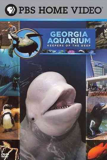 Georgia Aquarium  Keepers of the Deep Poster
