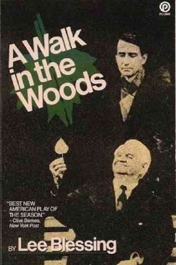 A Walk in the Woods Poster