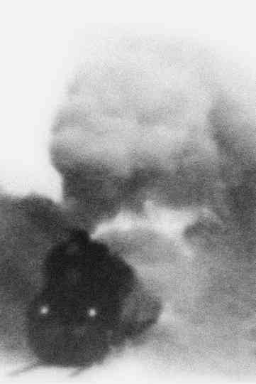 Cut to the Chase Poster