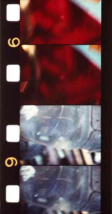 Monsieur Loulou Poster