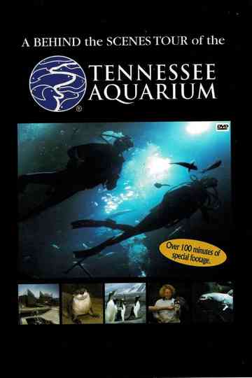 Tennessee Aquarium Poster