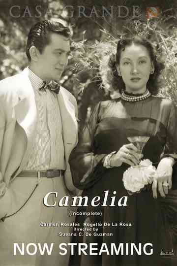 Camelia Poster