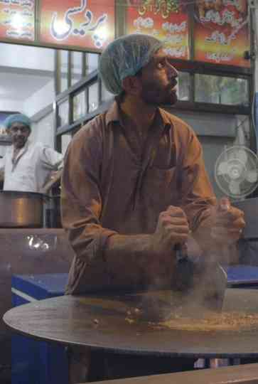 observation of hawks in the sky Poster