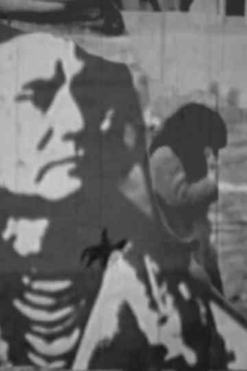 I Think You Should Come to America Poster