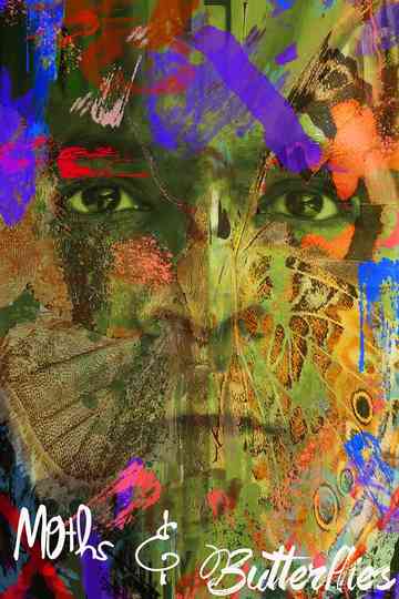 Moths  Butterflies Poster