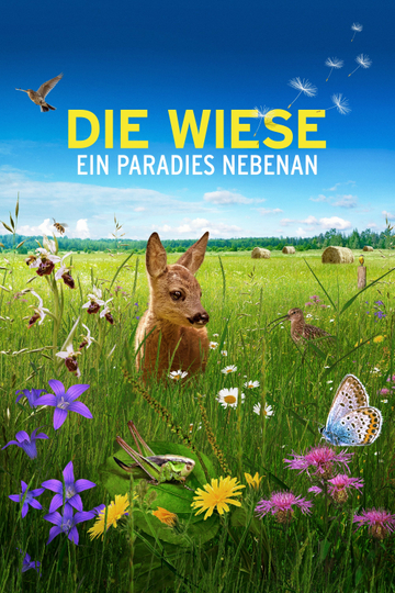 Die Wiese Ein Paradies nebenan