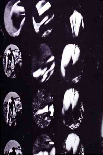 Experiment 002 Poster