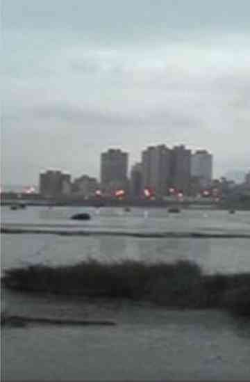 Moonlight in the River Poster