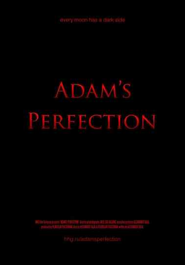 Adam's Perfection Poster