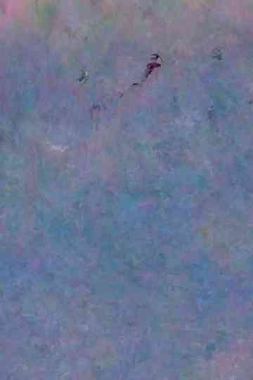 Or / Aour (Vienna) Poster