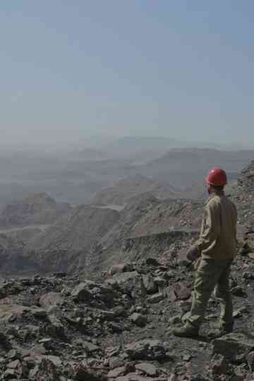 Naturales Historiae Poster