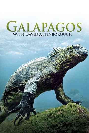 Galapagos 3D with David Attenborough Poster