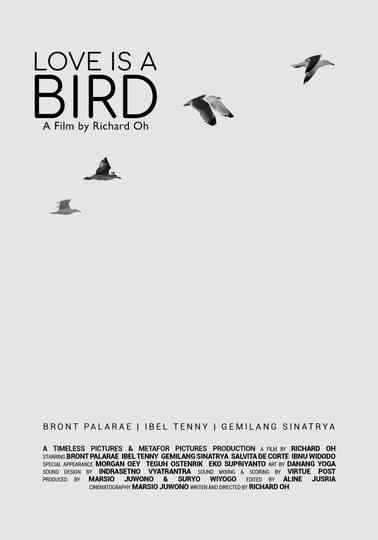 Love is A Bird Poster