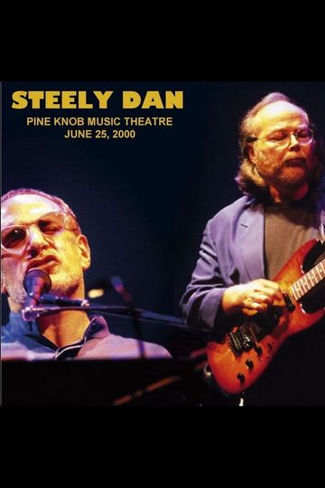 Steely Dan Live at Pine Knob Theatre