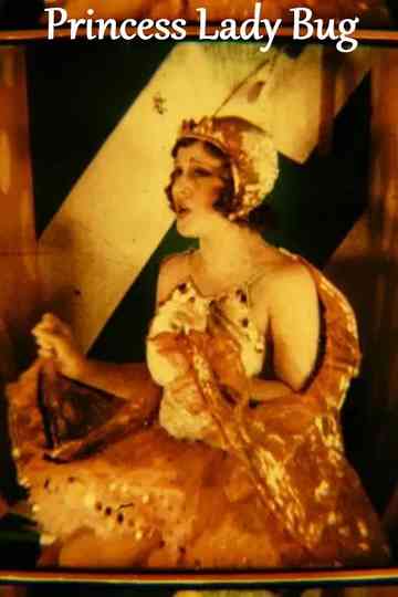 Princess Lady Bug Poster