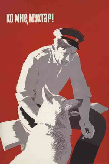 Come Here, Mukhtar! Poster