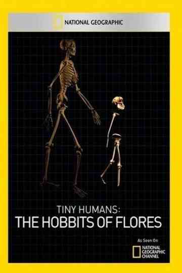 Tiny Humans: The Hobbit of Flores poster