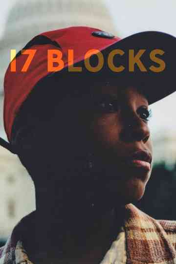 17 Blocks Poster