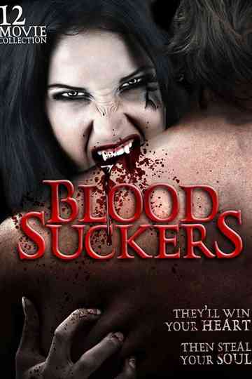 A Vampire's Tale Poster