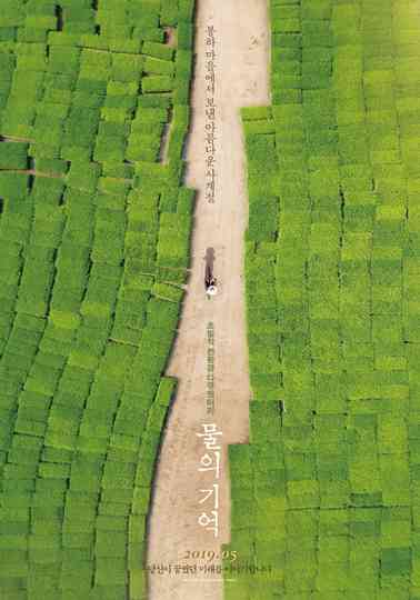 The Memory of Water Poster