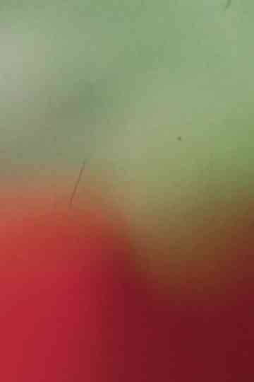 Light Licks: Pardes: Counting Flowers on the Wall Poster