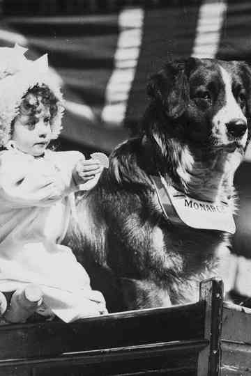 Me and My Two Friends Poster