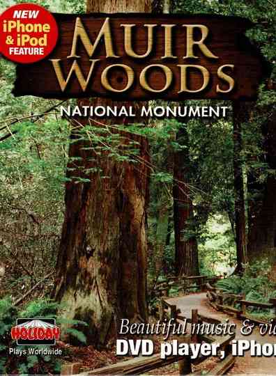 Muir Woods Poster