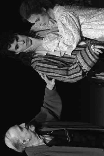 Männen och Bergman Poster