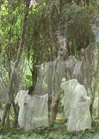 Il fascino dellimpossibile Poster