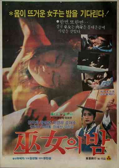 Night of a Sorceress Poster