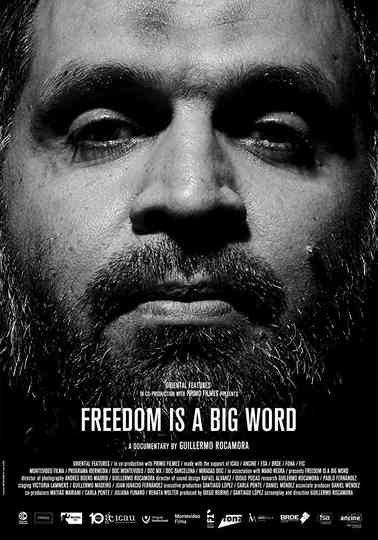 Freedom is a Big Word Poster