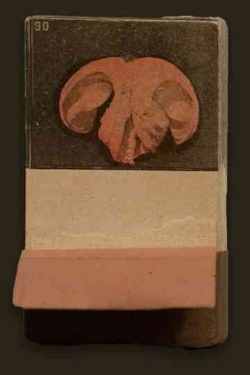 A Serpentine Dance Poster