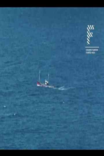 Elburua Gernika Poster