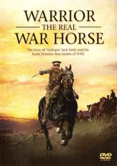 Warrior The Real War Horse Poster